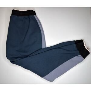 Nike Pants Womens Large Blue Sportswear Fleece Joggers Colorblock Aj7401-454